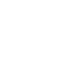 Shane-Homes_Buy-Process-Icons_GREEN-Offer