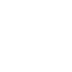 Shane-Homes_Sell-Icons_WHITE_White-Glove